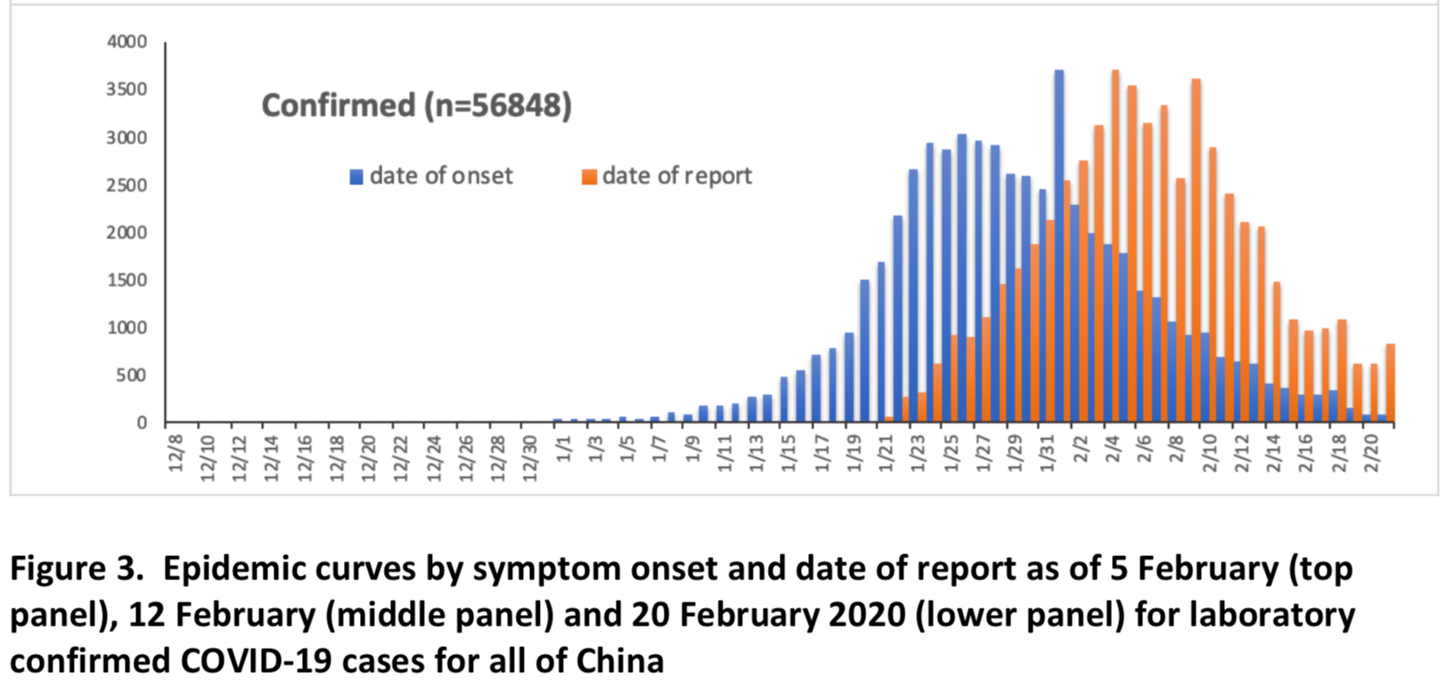 WHO report Covid cases February 2020