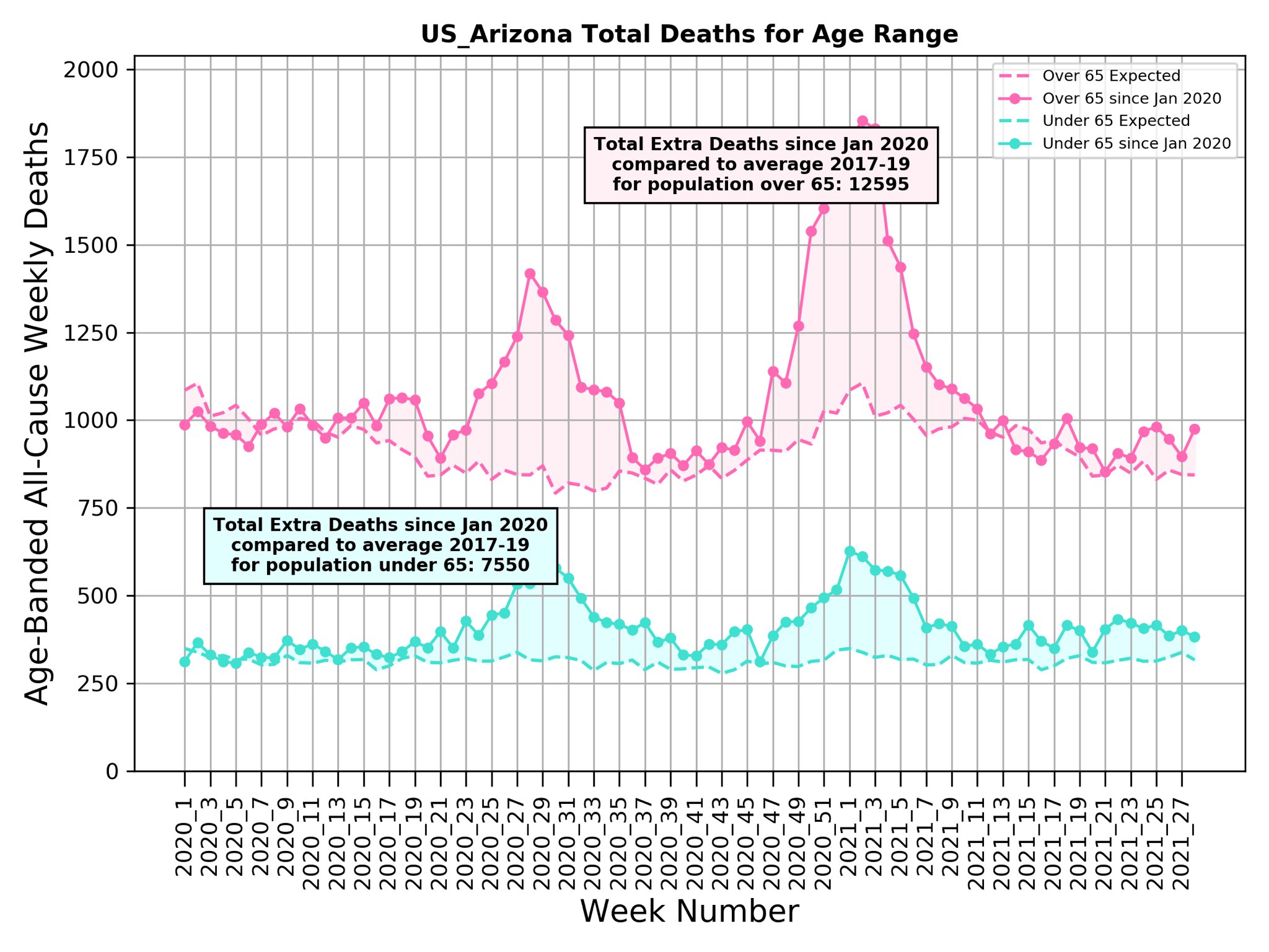 Arizona Covid deaths excess 2021 by age Michael Levitt