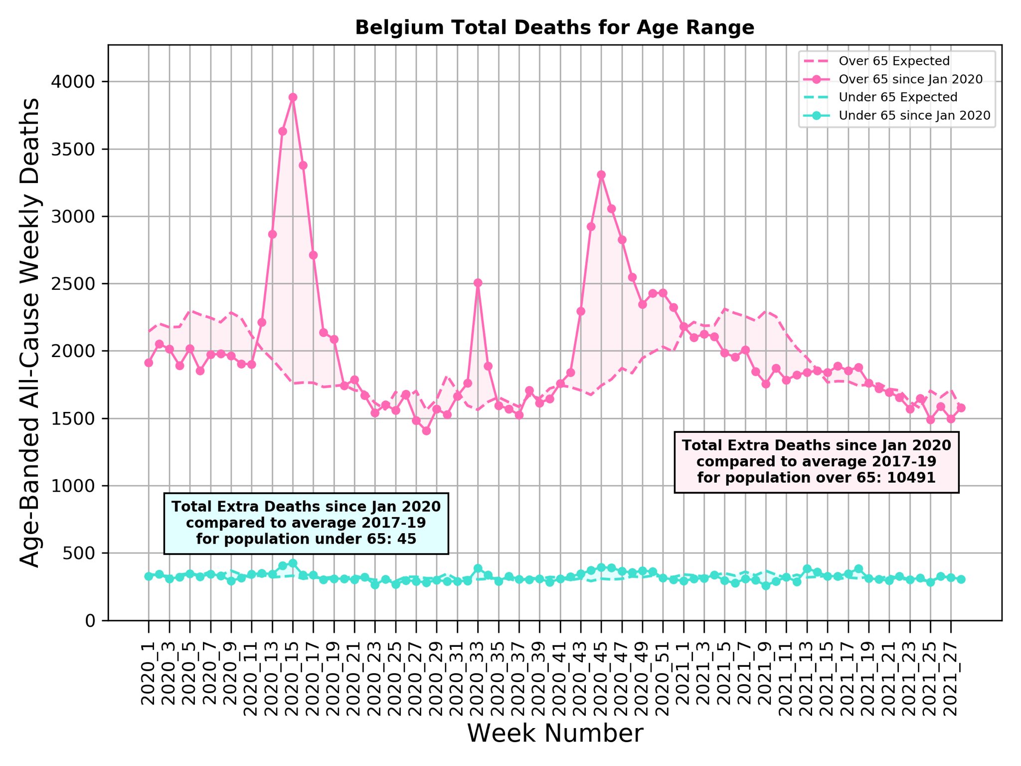 Belgium Covid deaths excess 2021 by age Michael Levitt