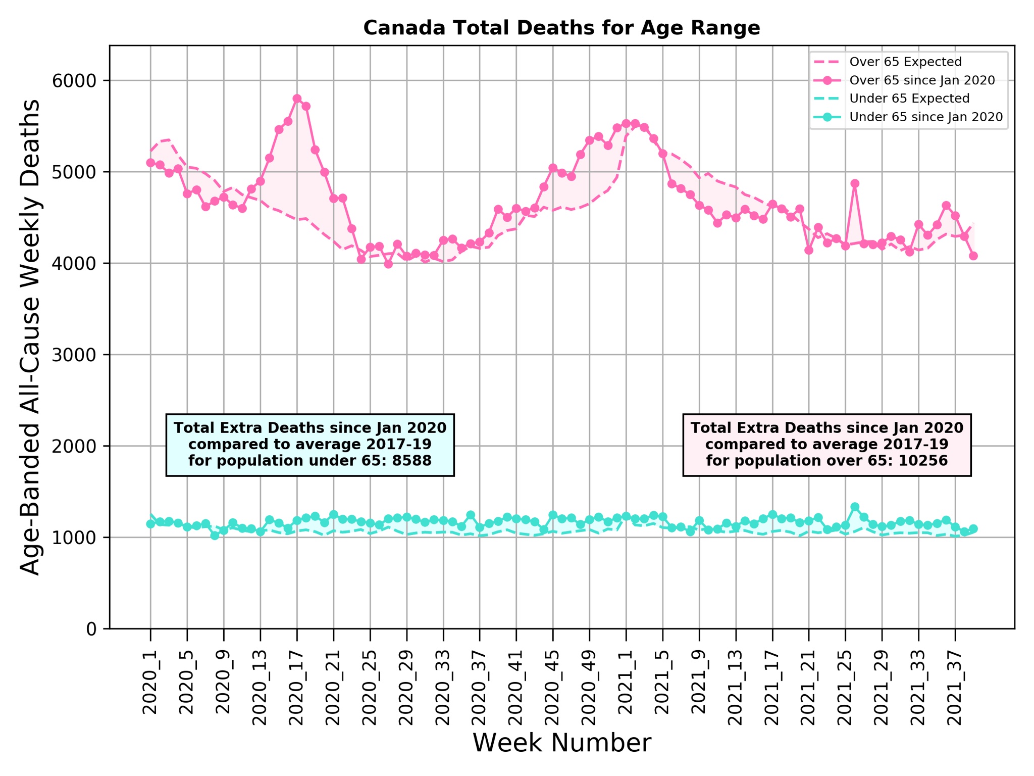 Canada Covid deaths excess 2021 by age Michael Levitt