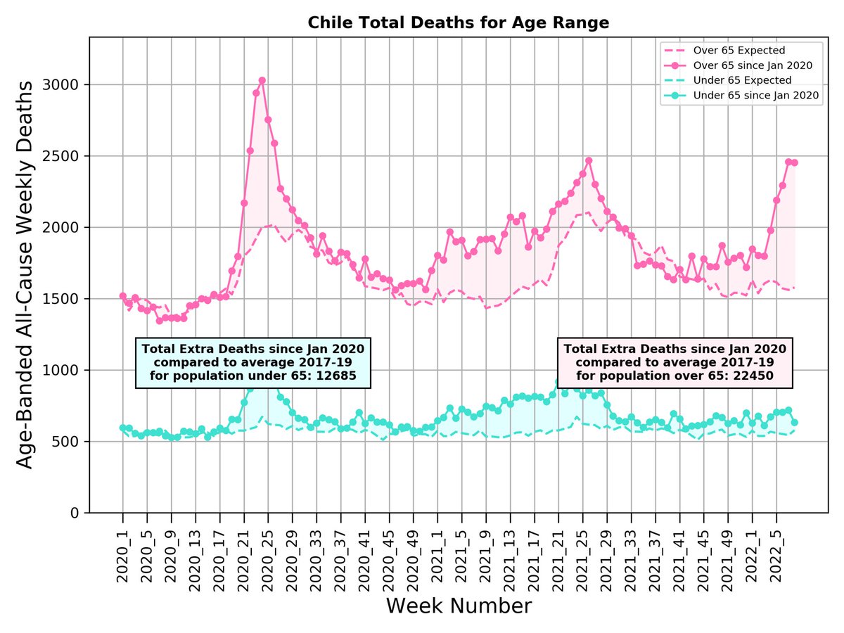Chile Covid excess deaths 2022 by age Michael Levitt