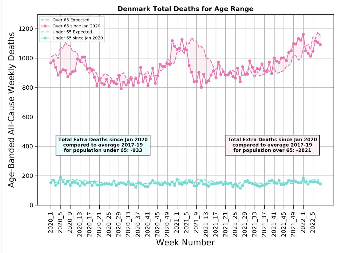 Denmark Covid deaths excess 2022 by age Michael Levitt
