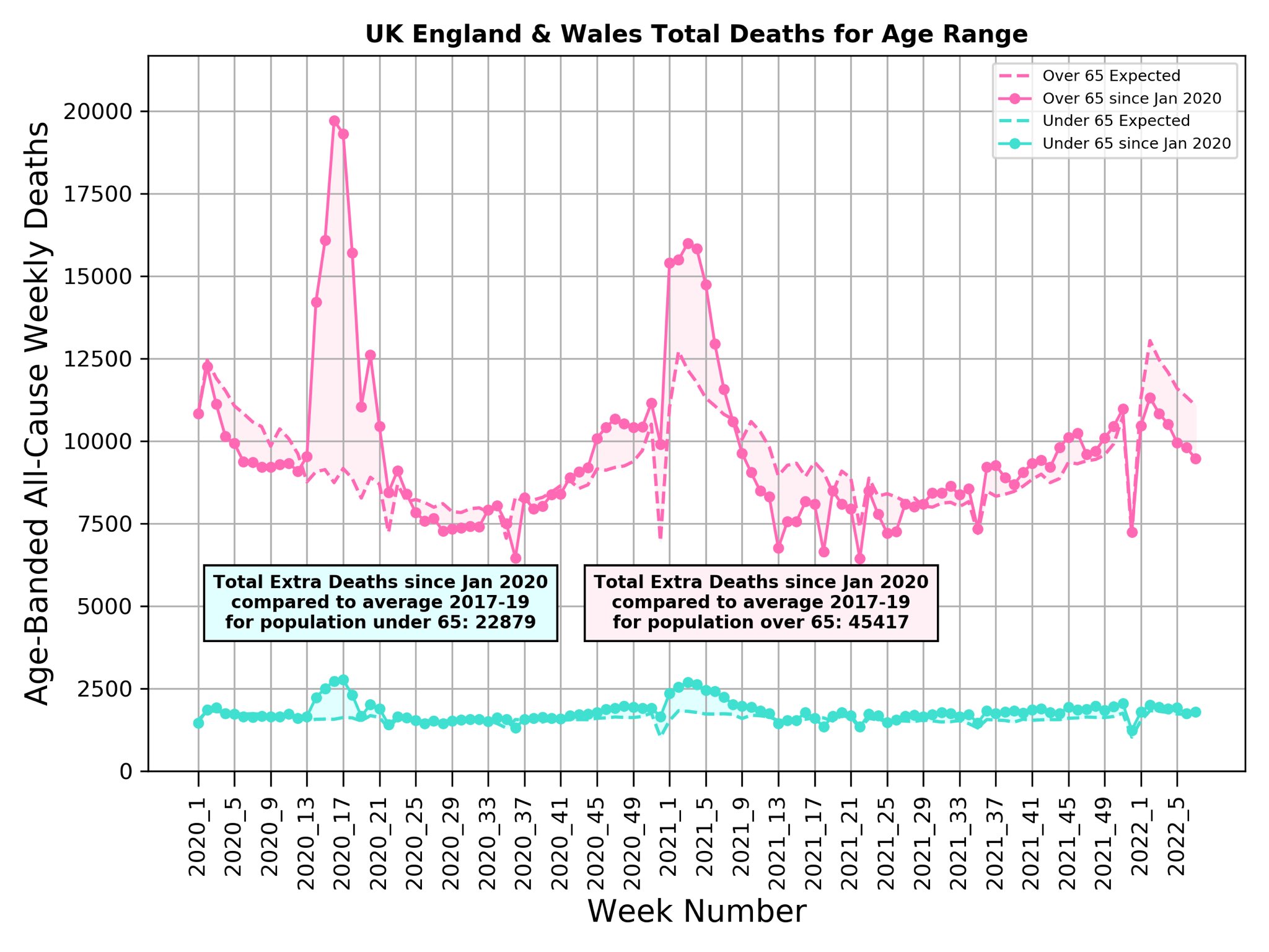 England Wales UK Covid excess deaths 2022 by age Michael Levitt