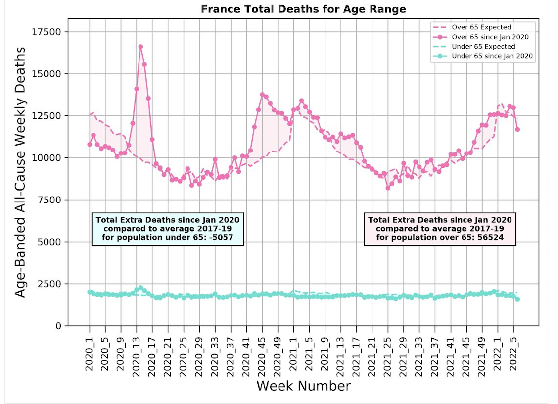 France Covid excess deaths 2022 by age Michael Levitt