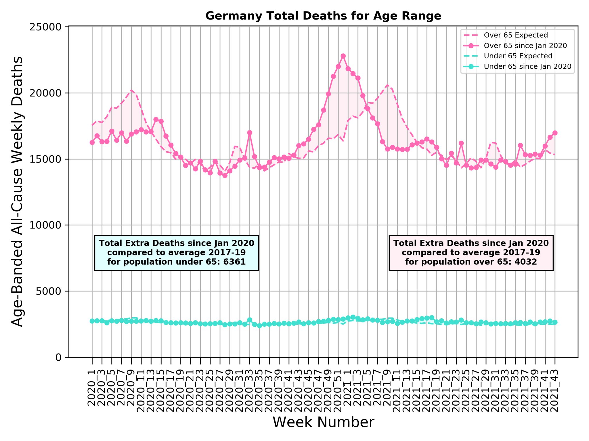 Germany Covid deaths excess 2021 by age Michael Levitt