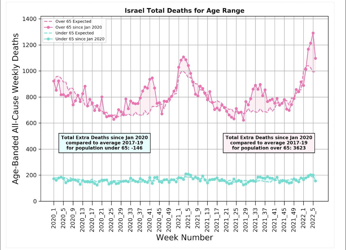 Israel Covid excess deaths 2022 by age Michael Levitt