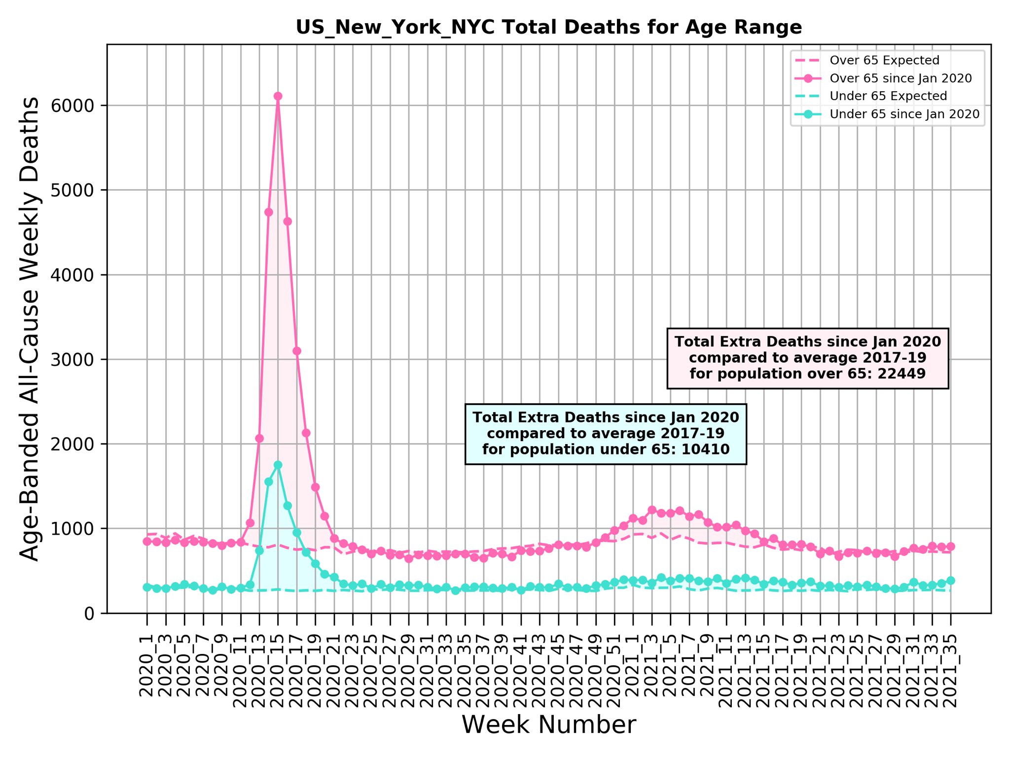 NYC Covid deaths excess 2021 by age Michael Levitt