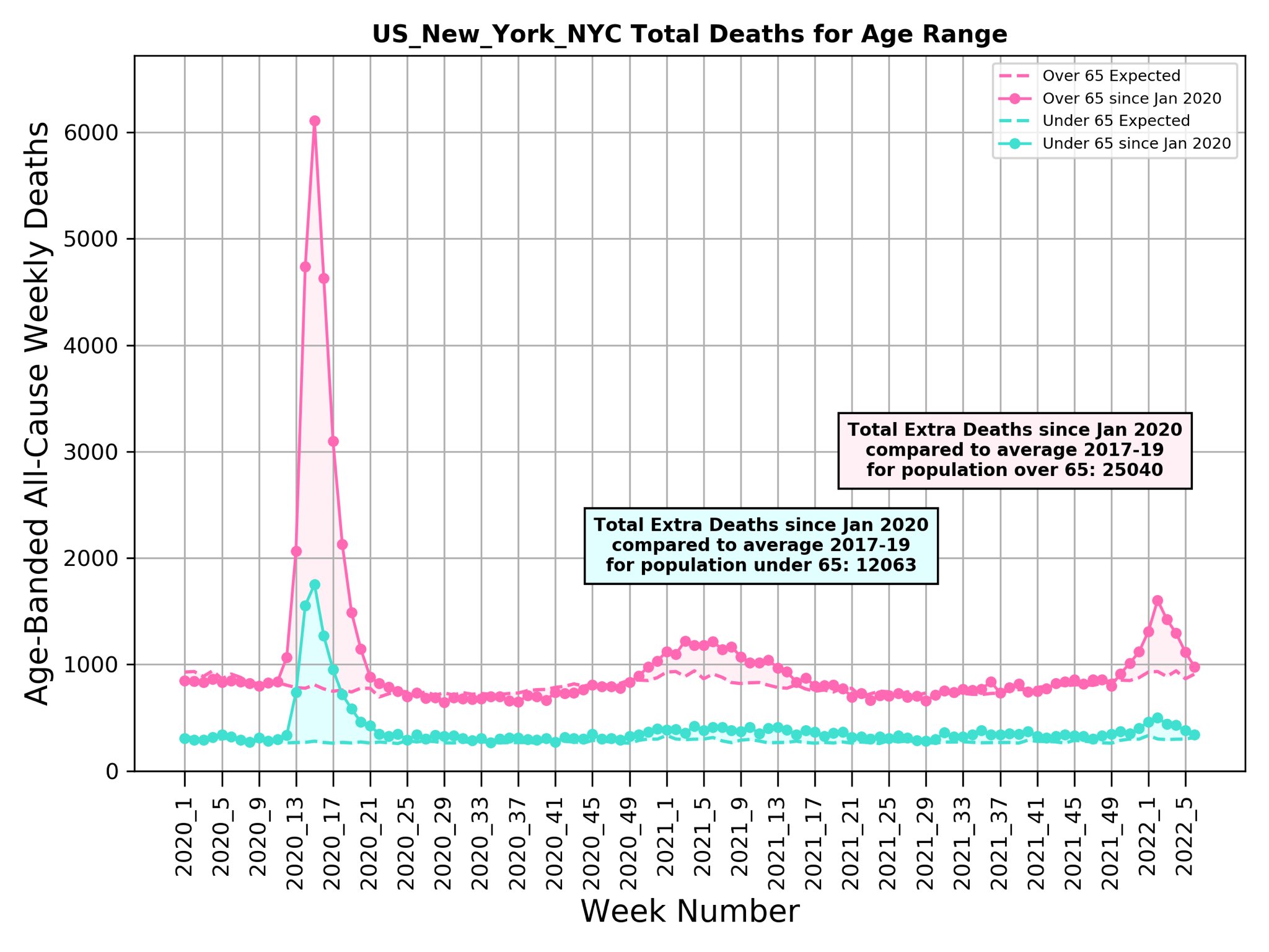 New York City NYC Covid excess deaths 2022 by age Michael Levitt