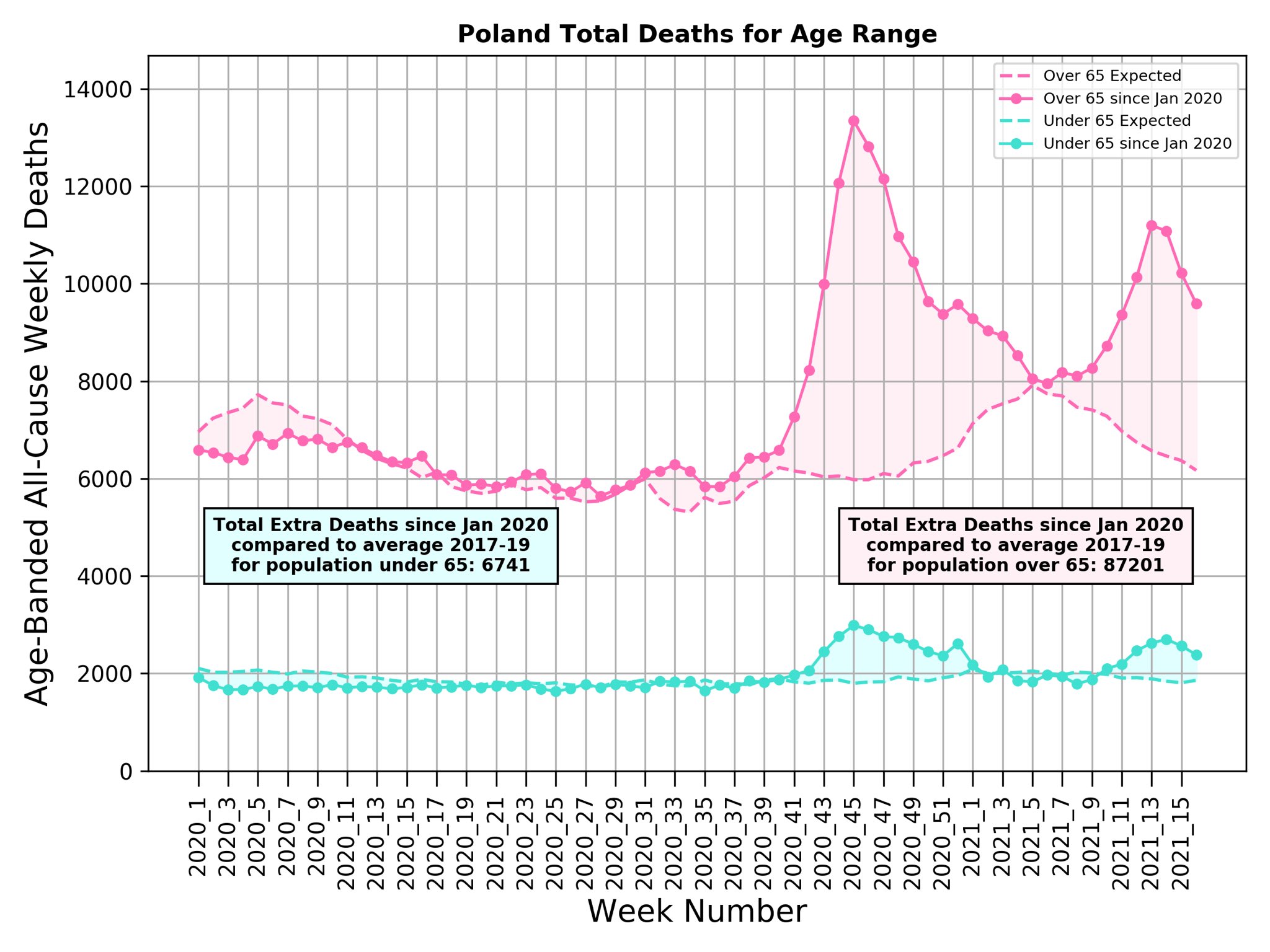 Poland Covid deaths excess 2021 by age Michael Levitt