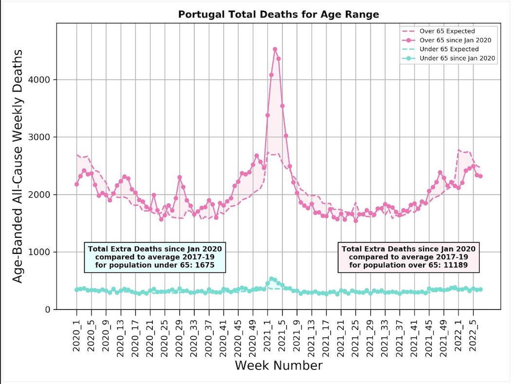 Portugal Covid excess deaths 2022 by age Michael Levitt