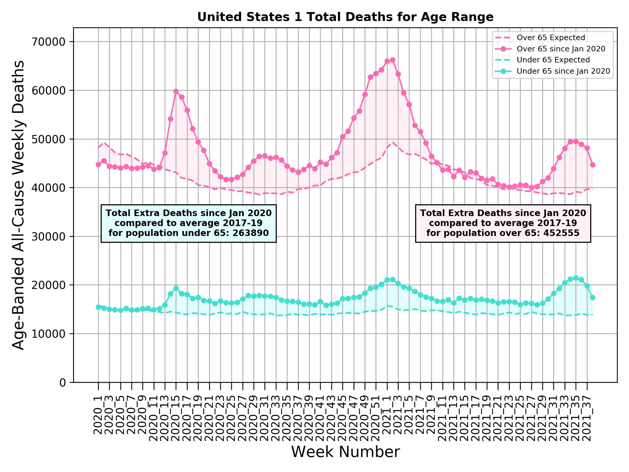 USA Covid deaths excess 2021 by age Michael Levitt