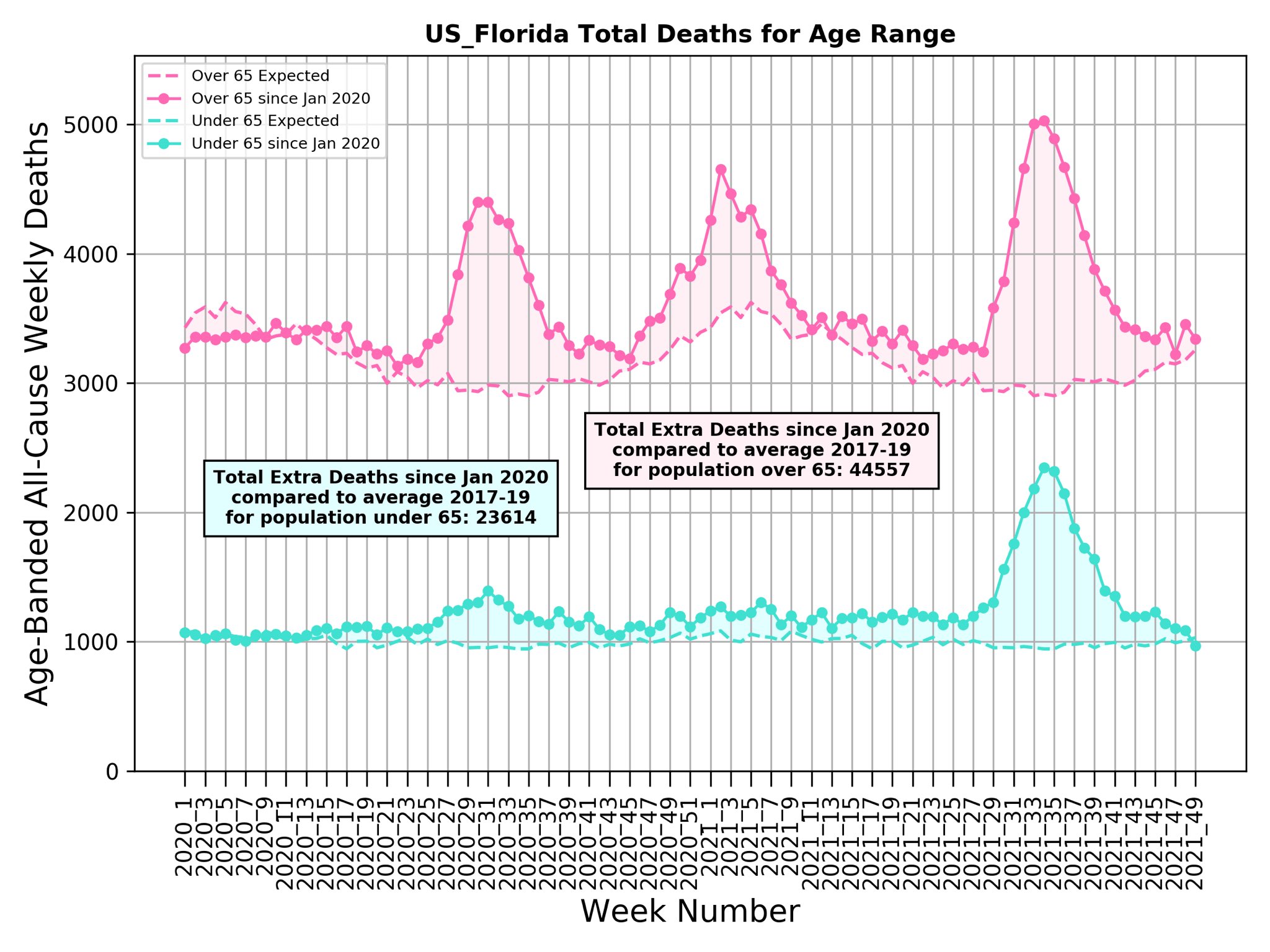 Florida Covid deaths excess 2021 by age Michael Levitt