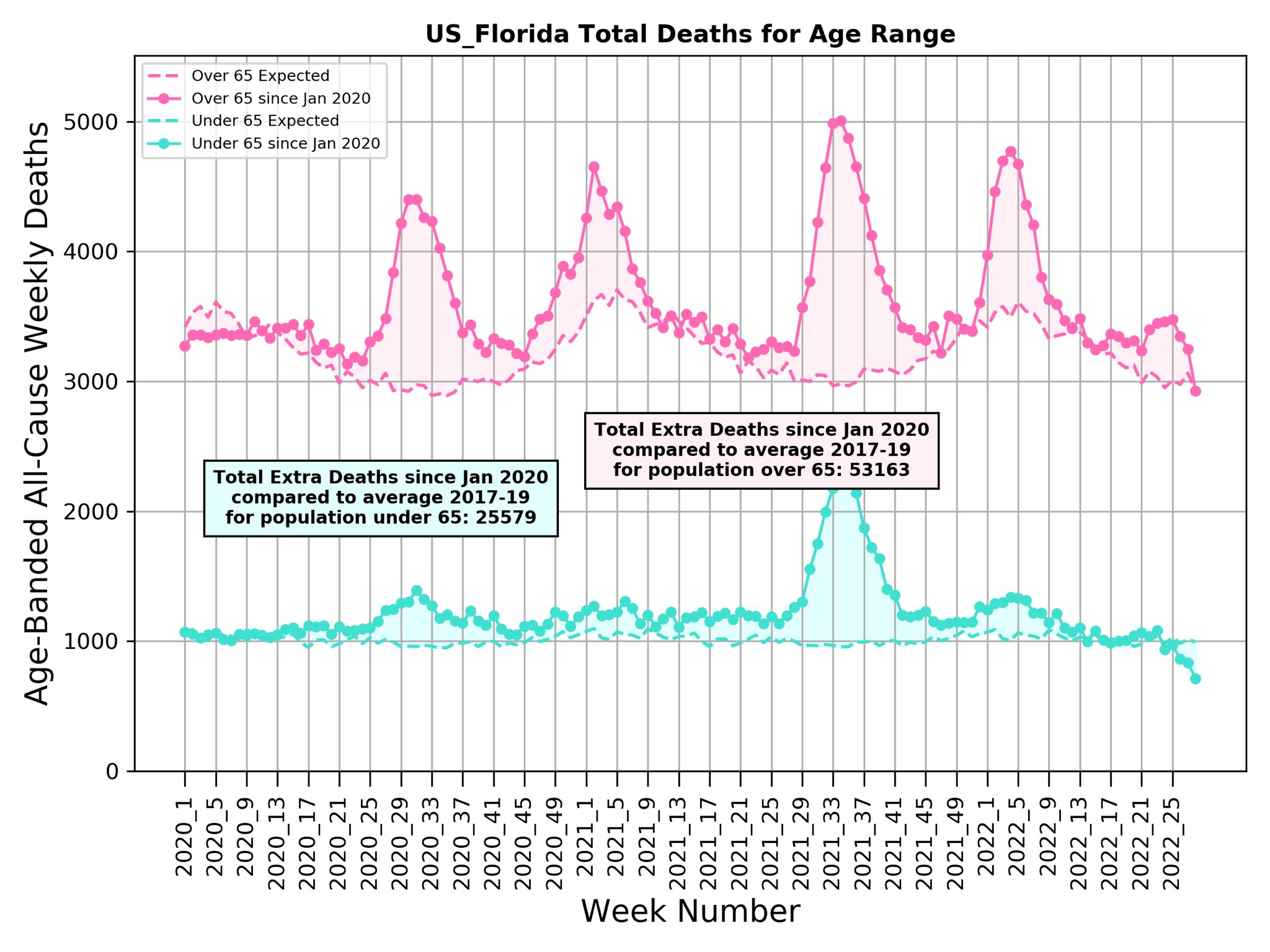 Florida USA Covid age-adjusted excess deaths 2022 Michael Levitt