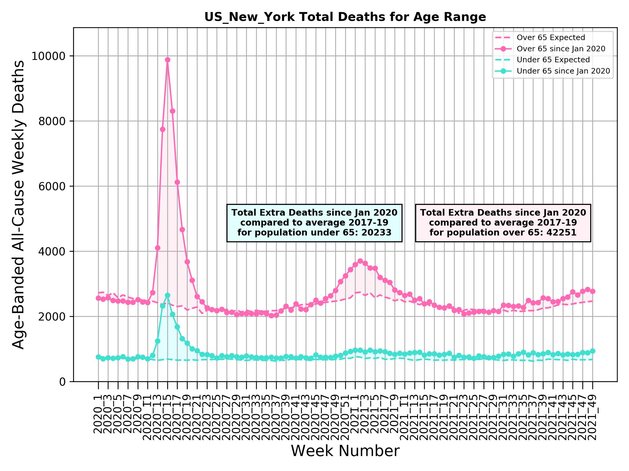 New York Covid deaths excess 2021 by age Michael Levitt